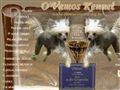 http://chinese-crested-dog.hu ismertető oldala